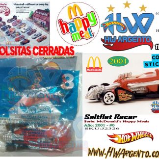 Saltflat Racer - 2001